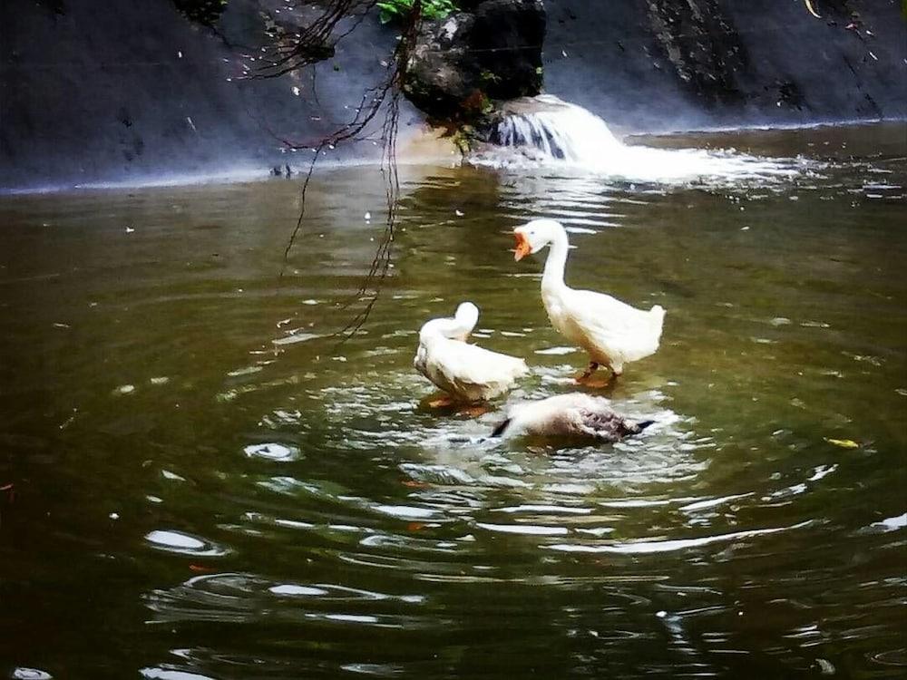 Sentosa Villa Taiping Dış mekan fotoğraf